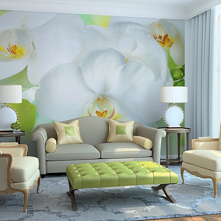 Фотообои Белая орхидея C-379 (3,0х2,38 м), Дивино Декор 2